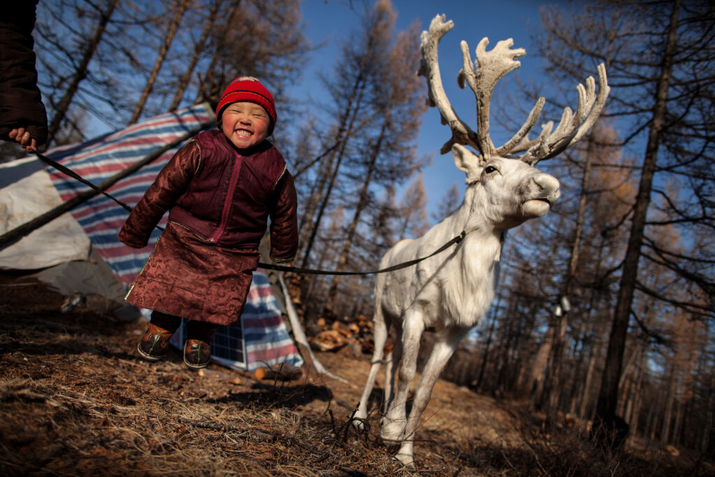 Kuva tytöstä ja porosta Mongoliassa.